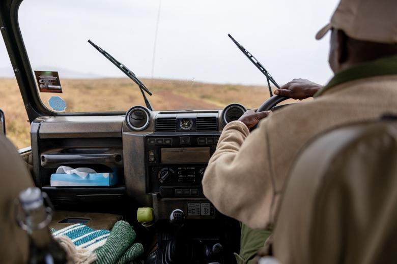 Free stock image of Safari drive created by Matt Bango