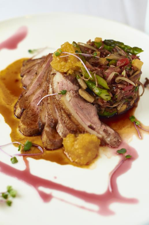 Free stock image of Roasted duck plate created by Secret Agency