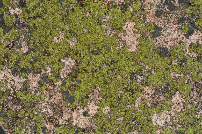 Free stock image of Mossy Rock created by Secret Agency