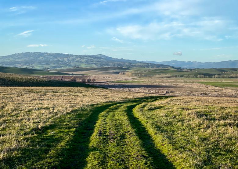 Free stock image of Rural road created by Matt Bango