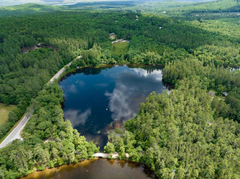 Free stock image of Aerial forest created by JJ Sky