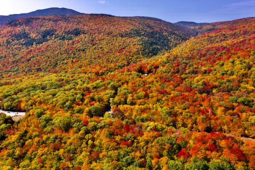 Fall Mountain Landscape - Free Stock Photo