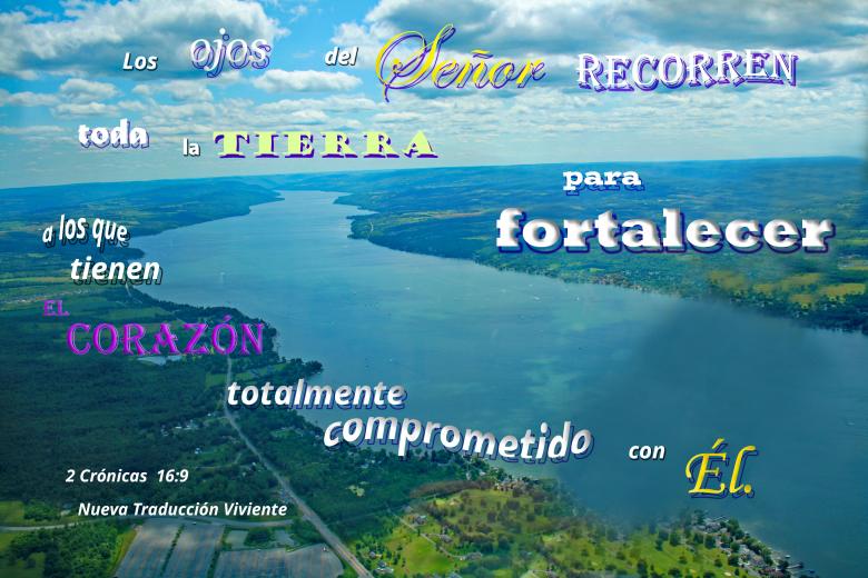 Free stock image of El Senor Fortalece created by DFNatureAwed