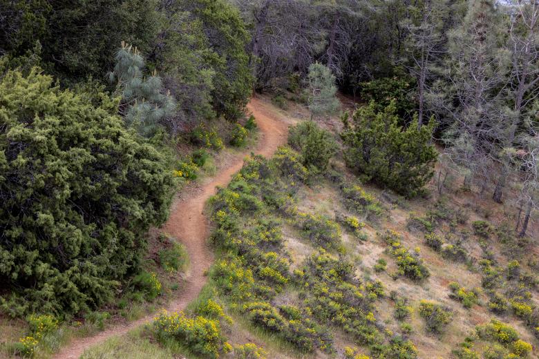 Free stock image of Hiking path created by Matt Bango