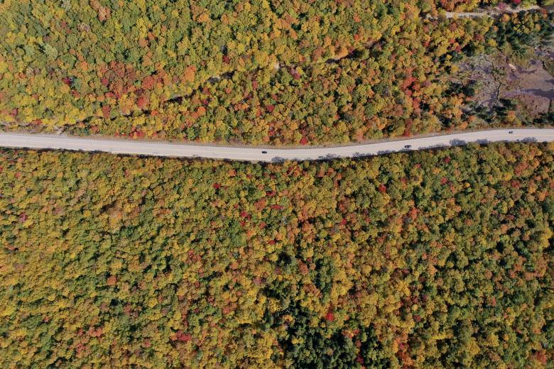 Free stock image of Fall road aerial created by JJ Sky