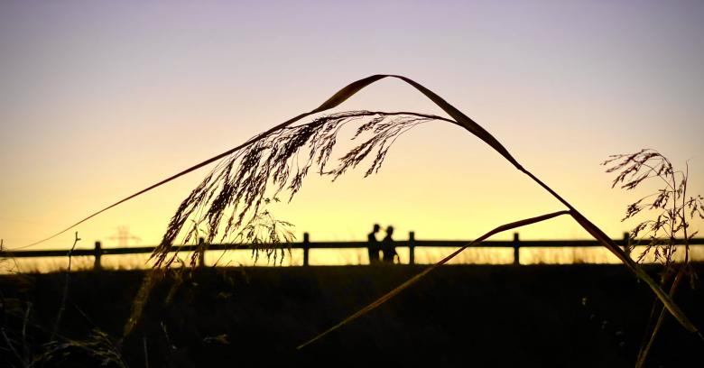 Free stock image of Sunset people silhouette created by Matt Bango