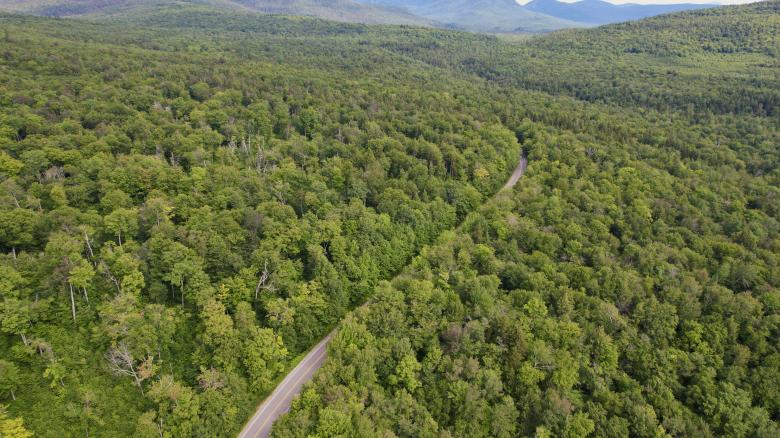 Free stock image of Green forest aerial created by JJ Sky