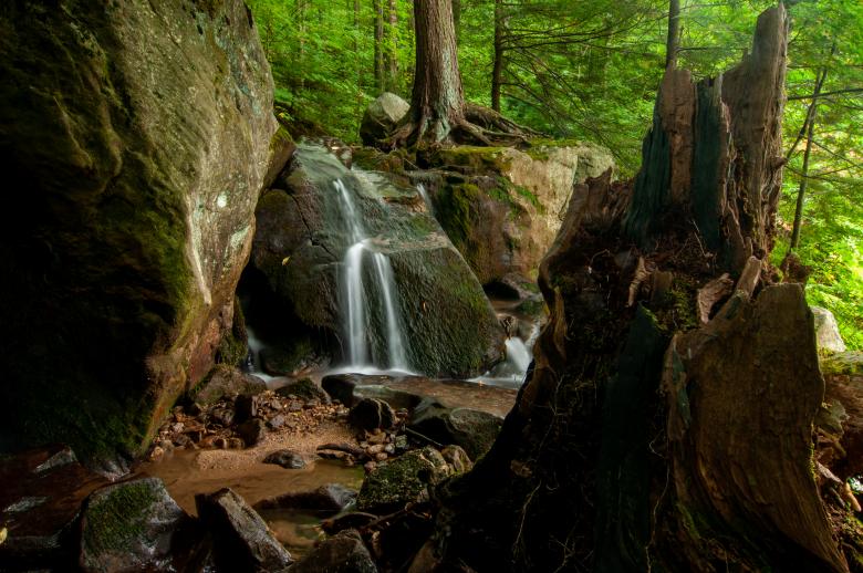 Free stock image of Forest waterfall created by Matt Bango