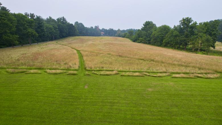 Free stock image of Grassy field created by JJ Sky