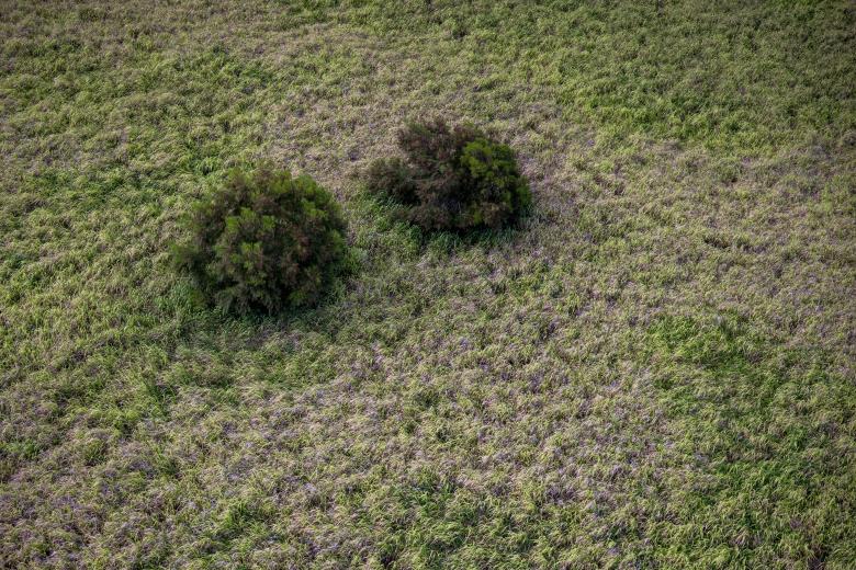 Free stock image of Dry landscape aerial created by Matt Bango