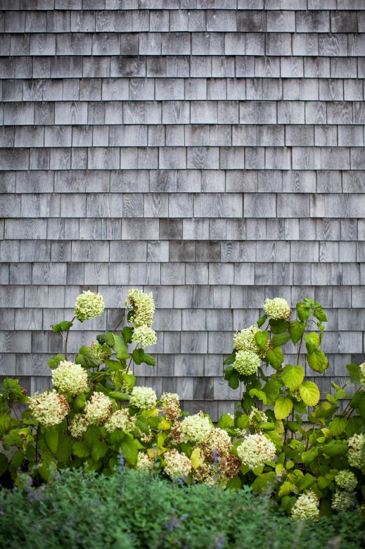 Free stock image of Wood siding exterior created by Matt Bango