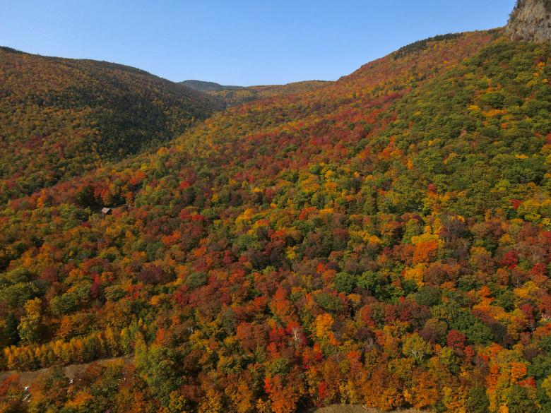 Free stock image of Scenic Fall Mountain created by JJ Sky