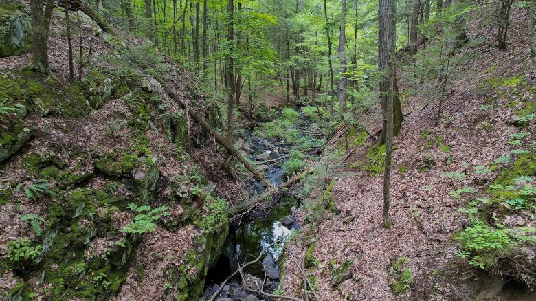 Free stock image of Stream in the forest created by JJ Sky