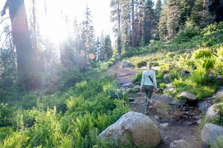 Free stock image of Woman hiking nature created by Matt Bango