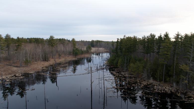 Free stock image of Rural river landscape created by JJ Sky