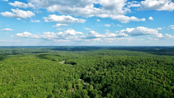 Free Stock Photo of Scenic forest landscape
