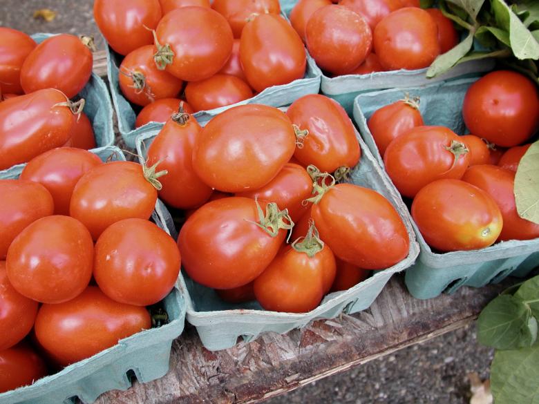 Free stock image of Farmers Market Tomatoes created by Secret Agency