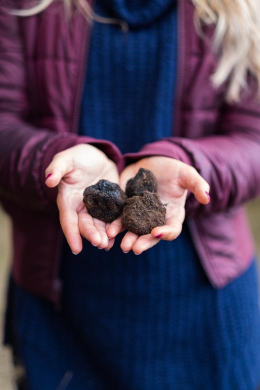 Free stock image of Fresh truffles created by Matt Bango