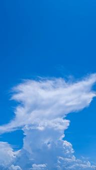 Blue Sky - Free Stock Photo