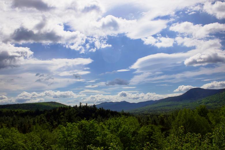 Free stock image of Scenic forest view created by JJ Sky