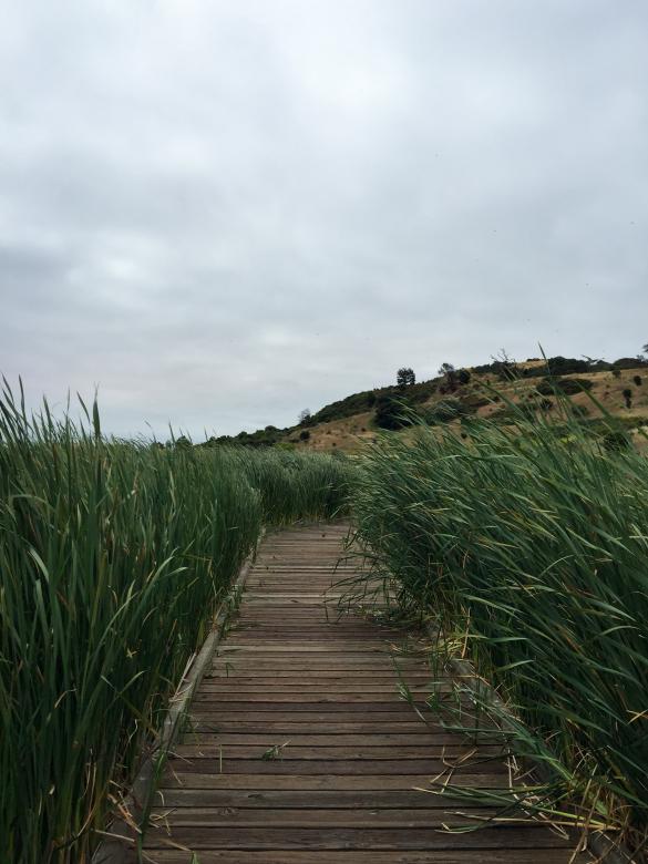 Free stock image of Rural path landscape created by Matt Bango