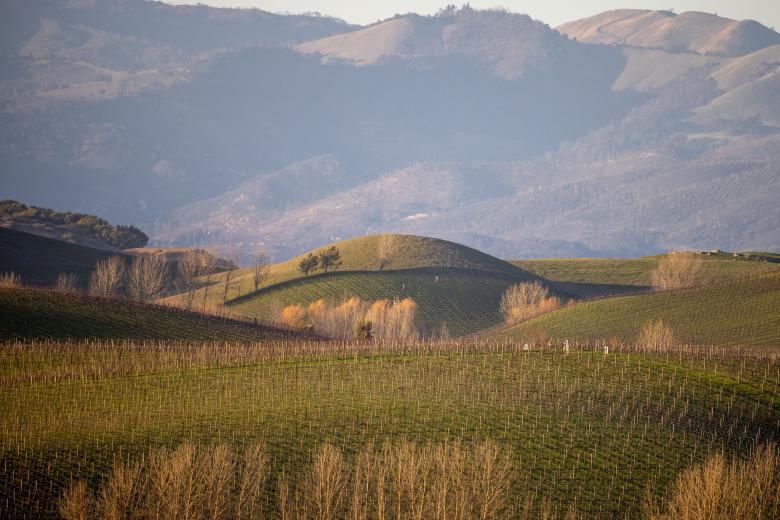 Free stock image of Napa valley landscape created by Matt Bango