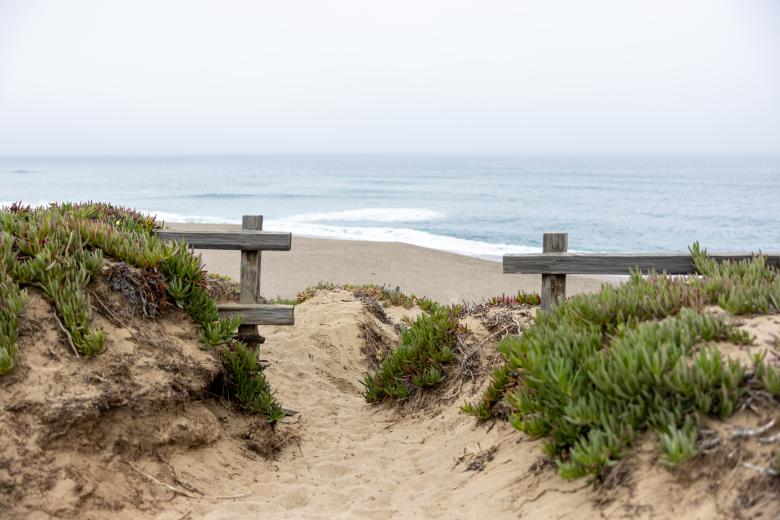 Free stock image of Sandy beach view created by Matt Bango