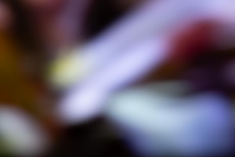 Free stock image of Defocus abstract background created by HD Wallpapers