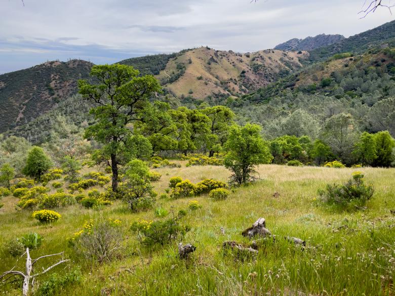Free stock image of Lush scenic landscape created by Matt Bango