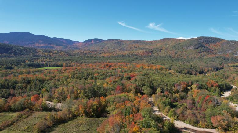 Free stock image of Fall Landscape created by JJ Sky