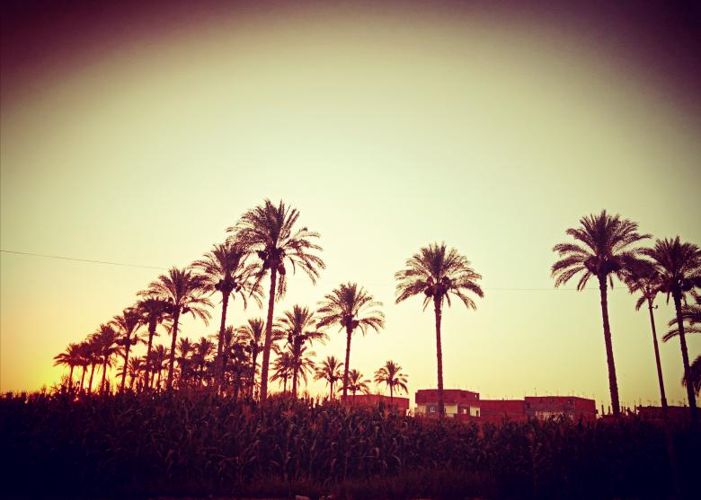 Free stock image of At sunset time  created by mahmoud osama
