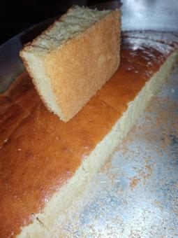 Sponge cake Up close