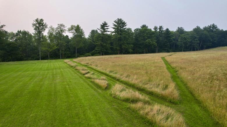 Free stock image of Rural Grassy Field  created by JJ Sky