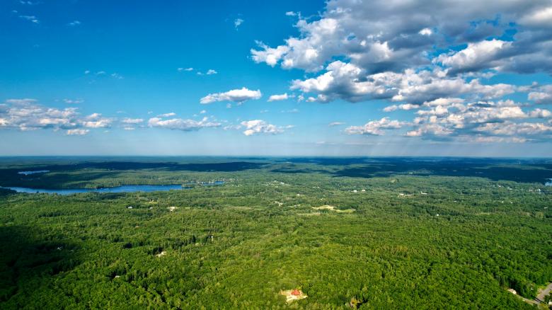 Free stock image of Lush Forest Aerial created by JJ Sky