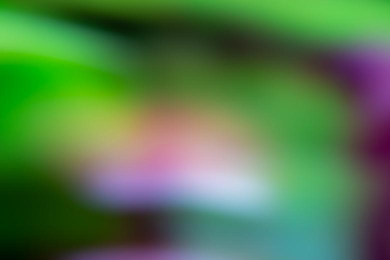 Free stock image of Green Defocus Background created by HD Wallpapers