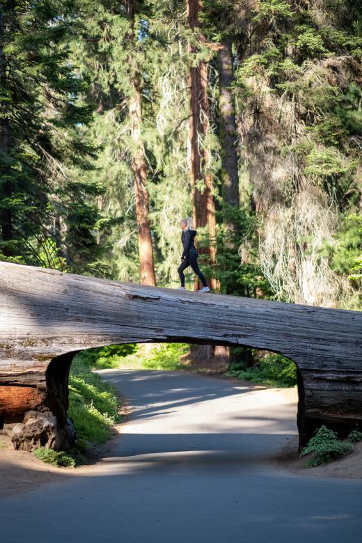 Free stock image of Woman hiking created by Matt Bango