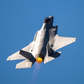 The F-35 Demo Team pilot 