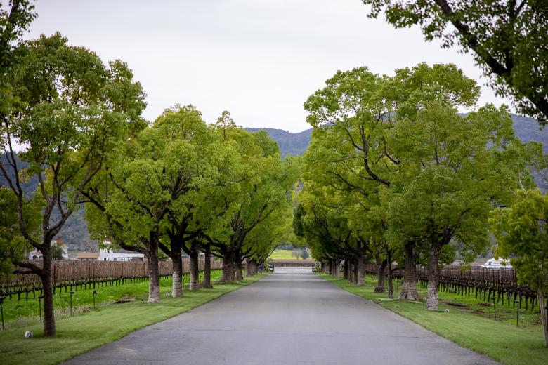 Free stock image of Empty driveway created by Matt Bango