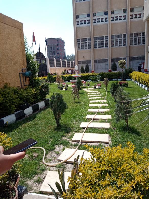 Free stock image of The most beautiful green garden created by mahmoud osama