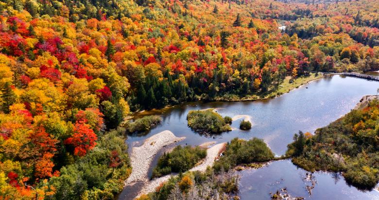 Free stock image of Fall aerial landscape created by JJ Sky