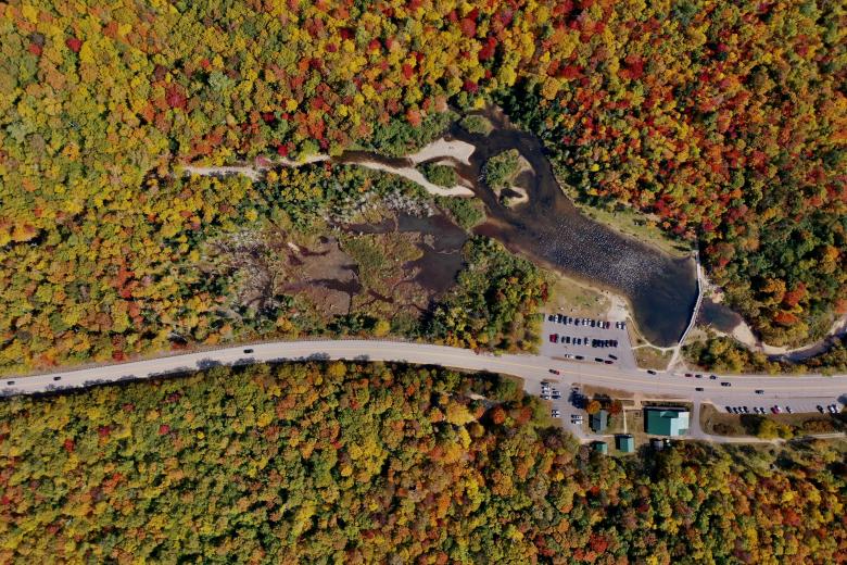 Free stock image of Fall foliage aerial created by JJ Sky