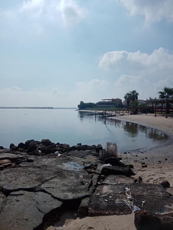 Free stock image of On the beach created by mahmoud osama