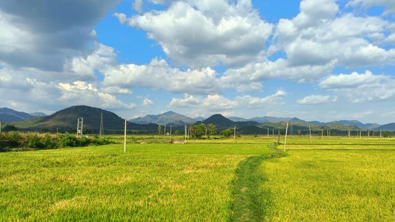 Free stock image of Rural Landscape created by SUBHRANSHU PRADHAN