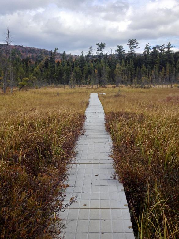 Free stock image of Walking path nature created by Matt Bango