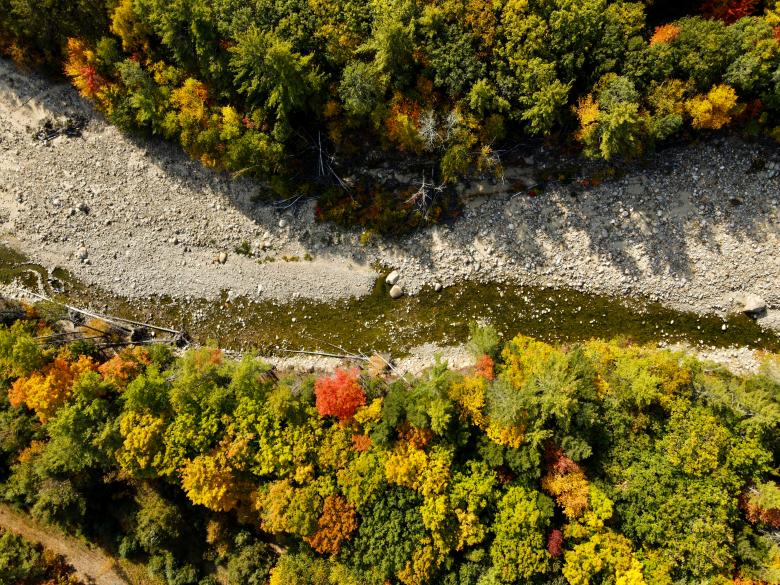 Free stock image of Fall forest aerial created by JJ Sky