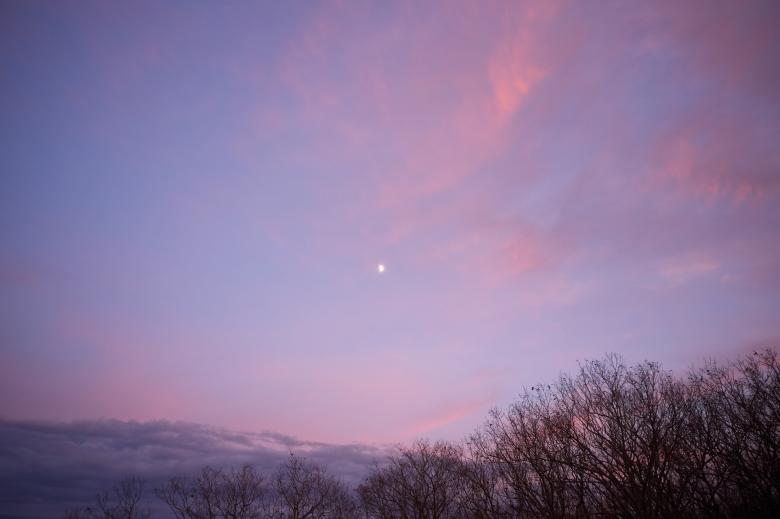Free stock image of Pink sky sunset created by JJ Sky