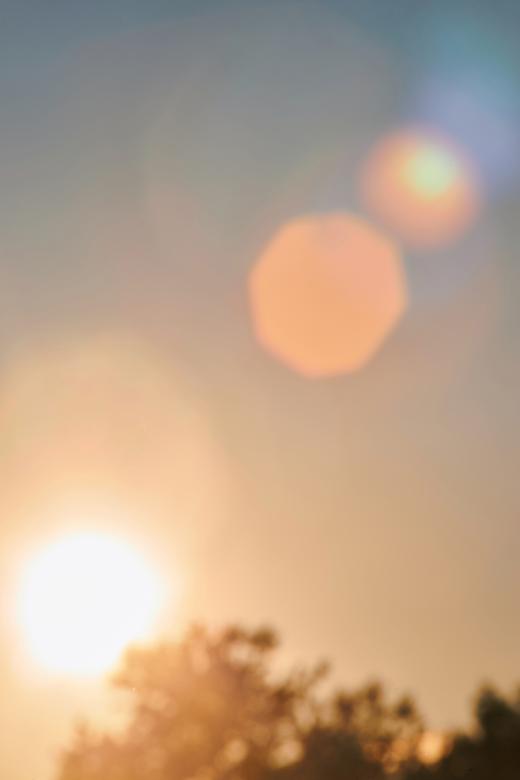 Free stock image of Defocus Sunlight Sky created by Secret Agency