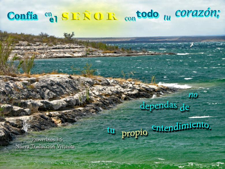 Free stock image of Confia en el Señor created by DFNatureAwed