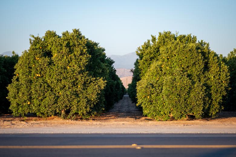 Free stock image of Roadside landscape created by Matt Bango