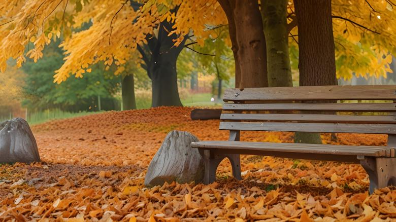 Free stock image of Autumn Leaves on a Park Bench created by Infinity Focus